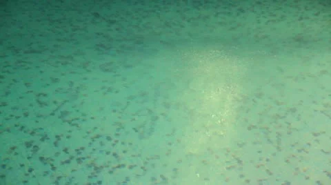 Water in pool (night) Stock Footage 8874299