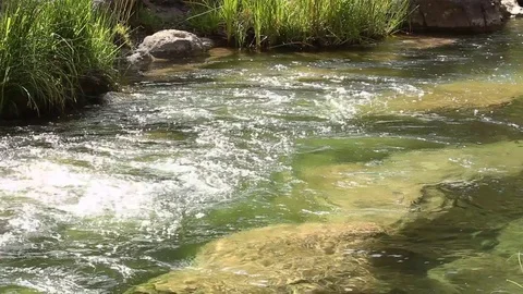 Water Pooling In Creek Pool Vídeo Stock 78033344