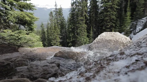 Water pools over rocks in a forest in Alberta Stock Footage 90835628