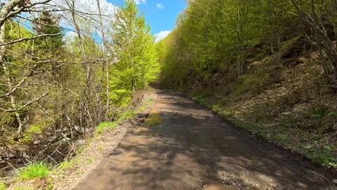Water pools on the road, reflecting the sky. Near Tupavica Waterfall, Serbia Stock-Footage 335530658