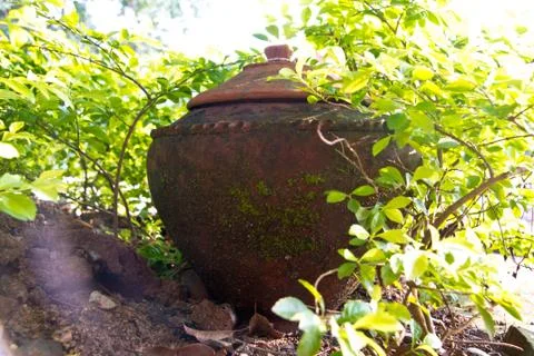 Water pot Stock Photos