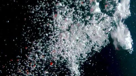 Water is poured into a tank with air bubbles in red Vidéo 303475554