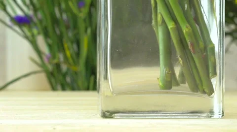 Water poured into vase of stems Video stock 60614133