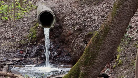 Water pouring from concrete drain pipe into muddy forest stream Stock Footage 341877541