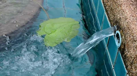 Water pouring Stock Footage 32456518