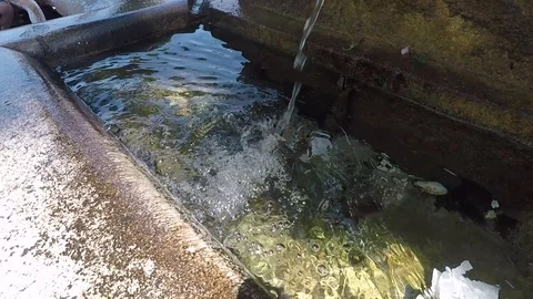 Water pouring from spout into a rectangular fountain water ripples, coins 스톡 동영상 93660914