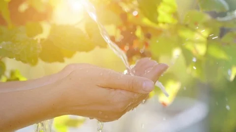 Water pouring in woman hands on nature background, ecology concept Stock Footage
