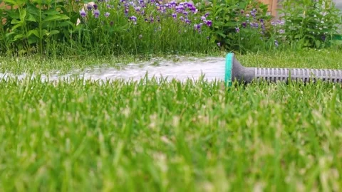 Water pours from hose on green grass, close-up. Garden lawn watering. Video stock 166191908