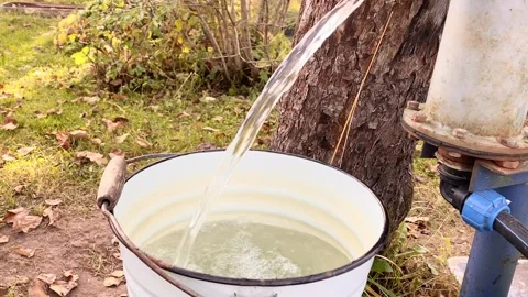 Water pours from the pump into a bucket surrounded by colorful autumn leaves Stock Footage 319953082