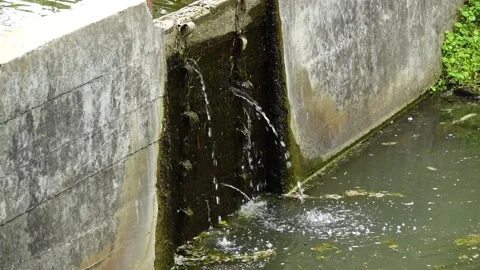Water pours through small dam on small river in summer. Stock Footage 208652344