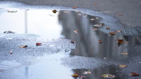 Water in puddle with fallen dry leaves and houses reflections on asphalt city Video stock 253270724