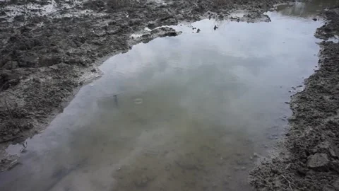 Water puddle Stock Footage 302397879