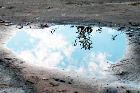 Water puddle on the ground background Stock Photos