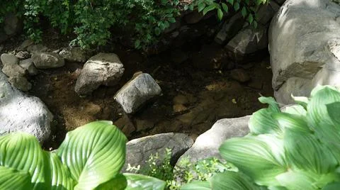 Water Puddle in the Mountain Forest at Spring Sunny Day Stock Photos