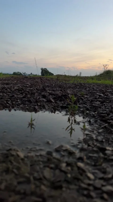 Water puddle in rocks reflecting the sunset Video stock 197344620
