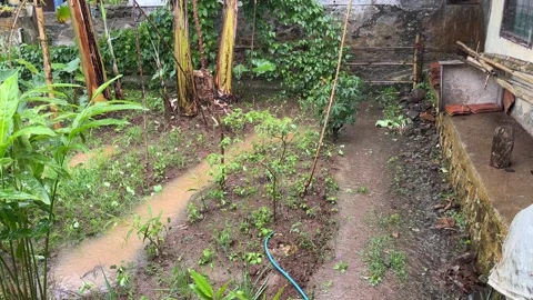 Water Puddles in the Backyard When It Rains Video stock 306517166