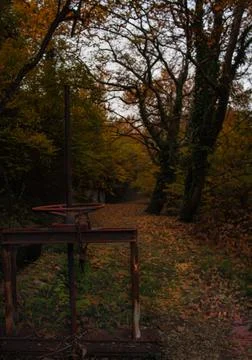 Water pump in forest Stock Photos