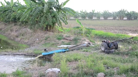 Water pump in grow tree crops garden Video stock 45388554