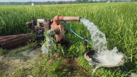 Water pump to irrigate rice fields. Stock Footage 243605776