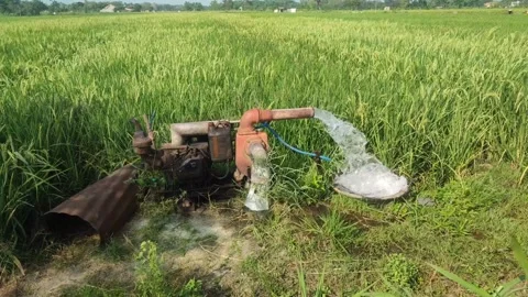 Water pump to irrigate rice fields. Stock Footage 243608613