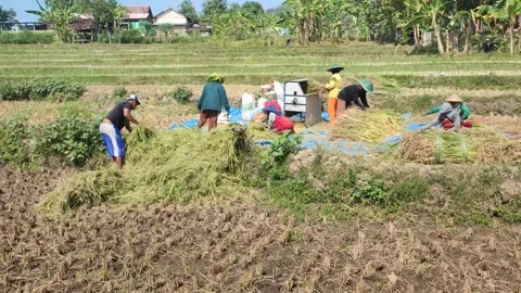 Water pump to irrigate rice fields. Stock Footage 244607836