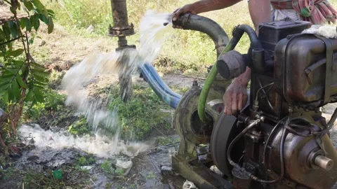 Water Pump Irrigating Видео 333899792