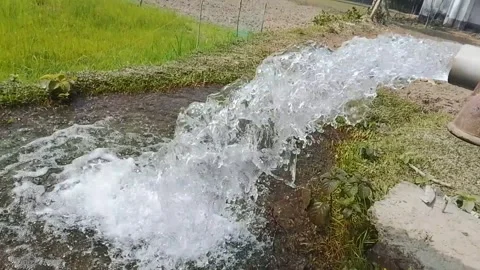 Water pump irrigating a lush green field Stock Footage 329010441