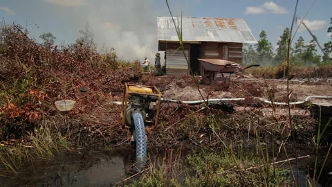 Water Pump at Land Clearing with Fire, Indonesia Stock Footage 142775207