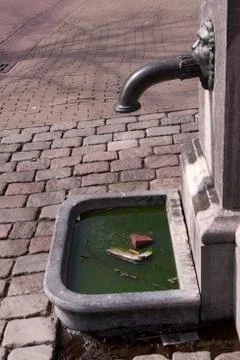 A water pump is a pump that will bring water to the surface Stock Photos