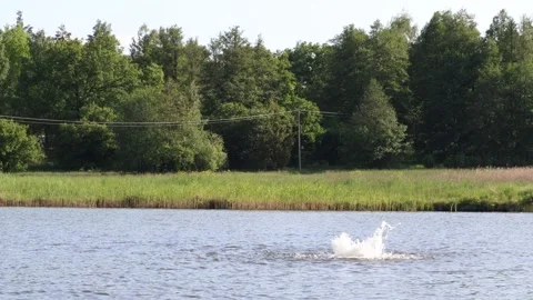 Water pump at a small lake. Stock Footage 247738563