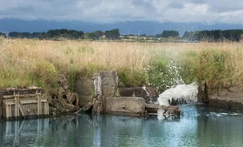 Water pump start up Foto stock