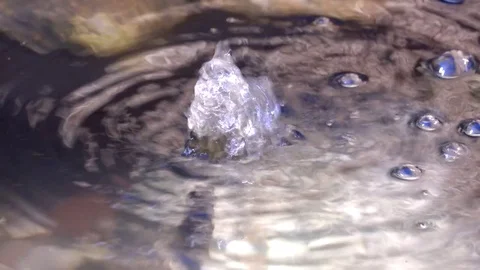 Water pumping in pond Stock Footage 80459558