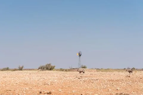 Water-pumping windmill with oryx in front Stock Photos