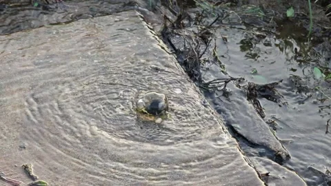 Water pushes up the drain. Under the force of water pressure. 库存影片 304433236