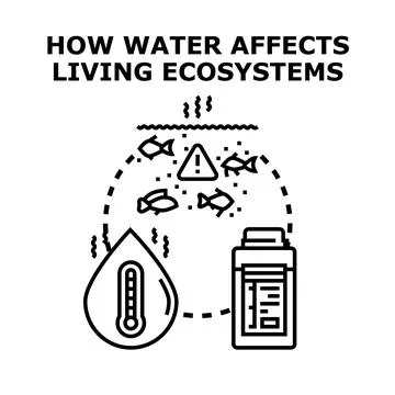 Water quality affecting aquatic ecosystem health and environment Stock Illustration