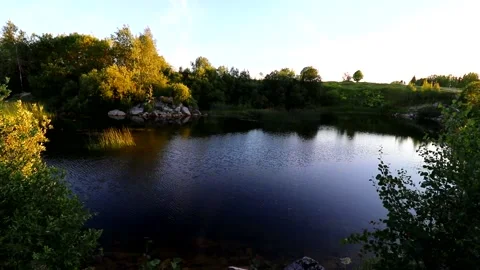 Water in the quarry in summer in the evening light . A living natural picture Stock Footage 168905208