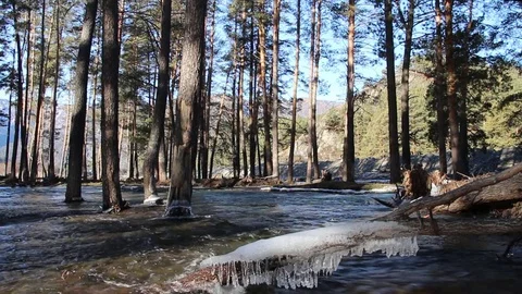 Water quickly current in the freezing river Stock Footage 73561830