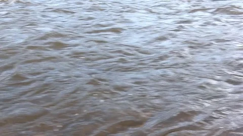 Water quickly  flowing in the river in the spring Stock Footage 73561716