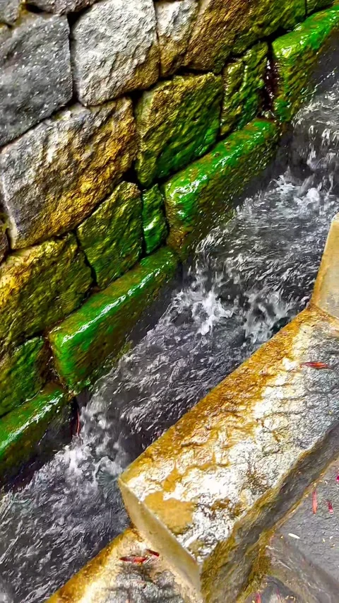 The water quickly runs down a stepped narrow stone channel. Stock Footage 313027053