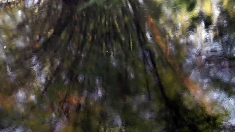 Water rain drop falling to the ground in heavy rain day. Stock Footage 252092611