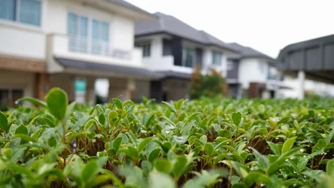 Water rain drop on green leaf with blur house background Stock Footage 92625564