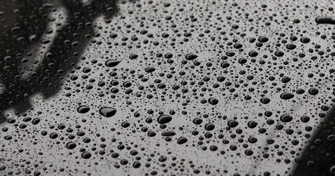 Water rain drops on black car with glass coating Stock Footage 80948666