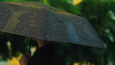 Water rain drops falling on black umbrella. Cloudy rainy season with Stock Footage 251738403