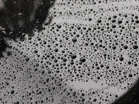 Water rain drops Stock Footage 82329799