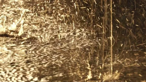 Water rain falling on pavement with sunset 動画素材 162046210