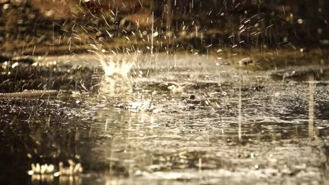Water rain falling on pavement with sunset Stock Footage 162046722