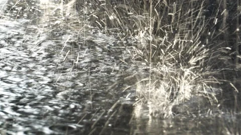 Water rain falling on pavement with sunset Stock Footage 162046961