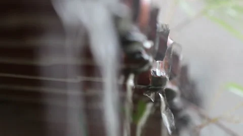 Water rain Stock Footage 42467951