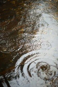 Water on the rain Stock Photos