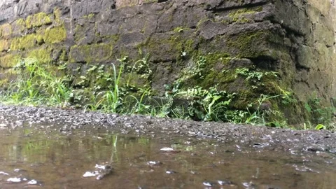 Water raindrops on the road Stock Footage 238586246